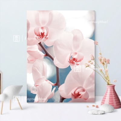 Картина в розовом цвете "Нежность орхидеи"