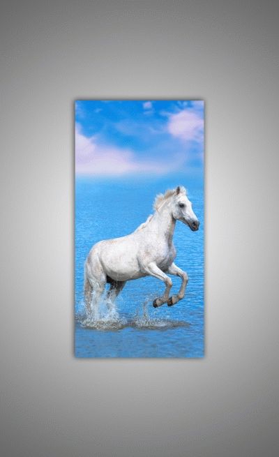 Белая лошадь в воде-2