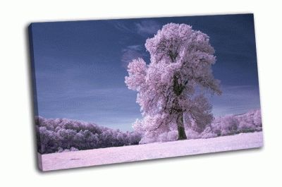 Картина дерево на белом поле