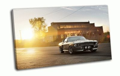 Картина ford shelby gt 500 под солнцем