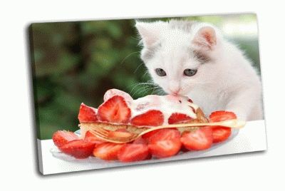 Картина котенок ест клубничный торт со сливками