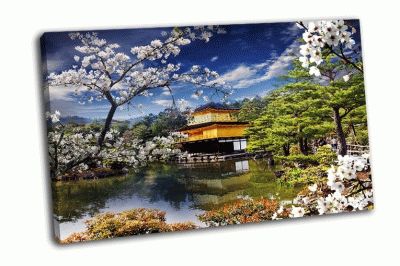 Картина красивая сакура и золотой храм