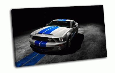 Картина mustang, gt500
