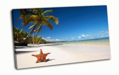 Картина пляж в тропиках