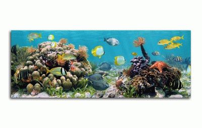 Картина подводная панорама коралловых риф