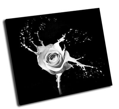 Картина роза с белыми всполохами на черном фоне