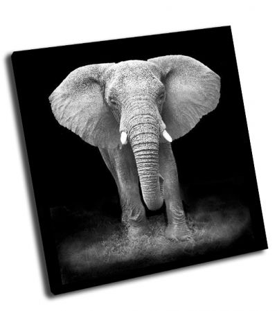 Картина слон