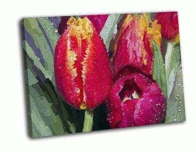 Картина свежие тюльпаны с росой
