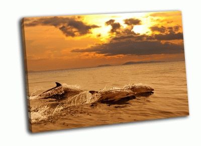 Картина три дельфина на закате