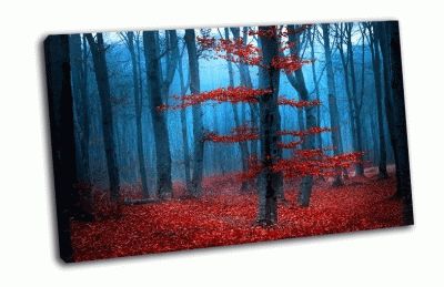 Картина туманный день в лесу