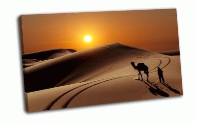 Картина верблюд с пастухом в пустыне