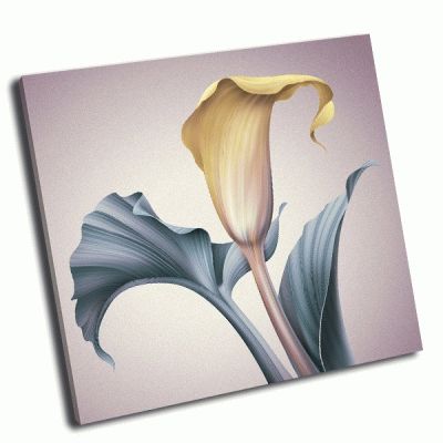 Картина винтаж, иллюстрация цветок калла