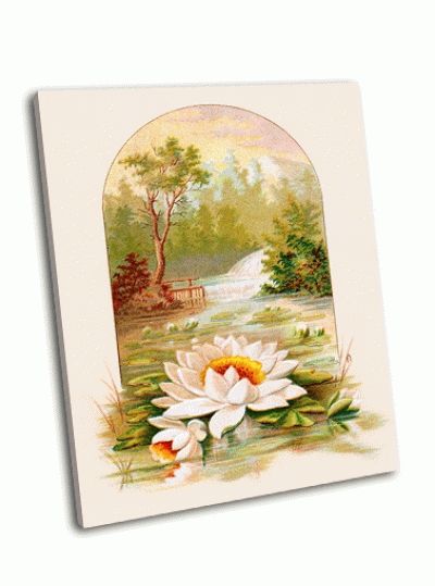 Картина водяная лилия