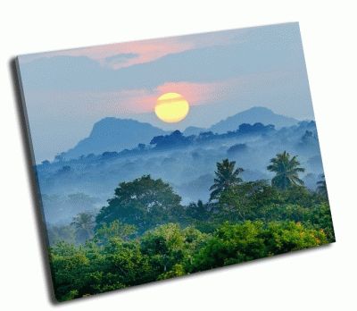 Картина восход  в джунглях шри-ланки