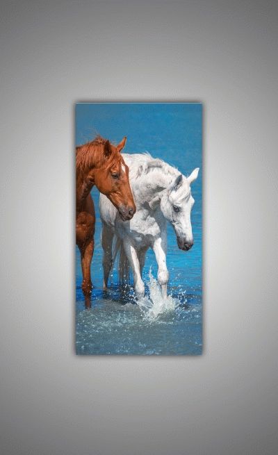 Красивые лошади в воде-2