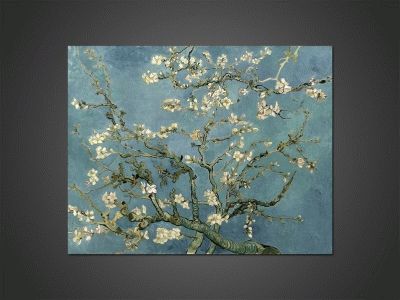 Ван Гог - Цветущий миндаль (Ветка миндаля в цвету)