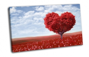 Красное дерево любви