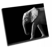 Слон на черном фоне