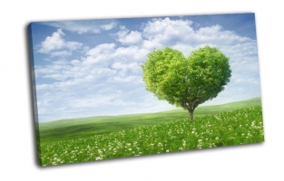 Зеленое дерево любви